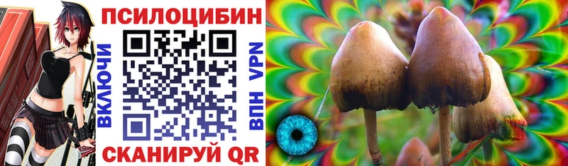 Галлюциногенные грибы MAGIC MUSHROOMS  Зеленодольск 