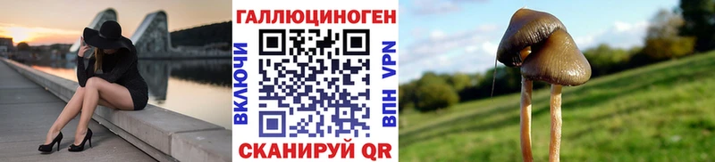 Псилоцибиновые грибы прущие грибы Зеленодольск